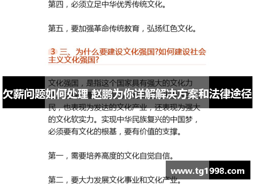 欠薪问题如何处理 赵鹏为你详解解决方案和法律途径